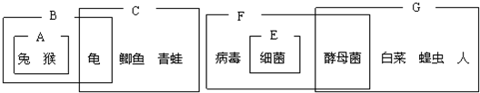 66题库