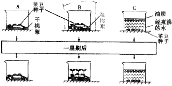 66题库