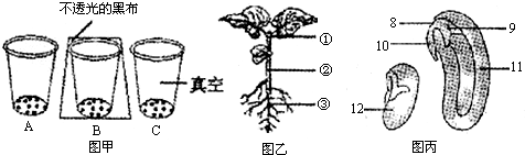 66题库