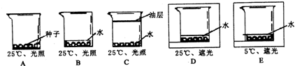 66题库